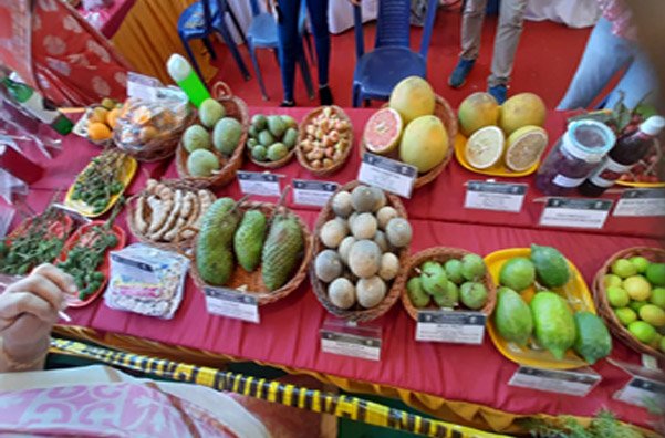 INDUSTRIAL VISITS TO IIHR